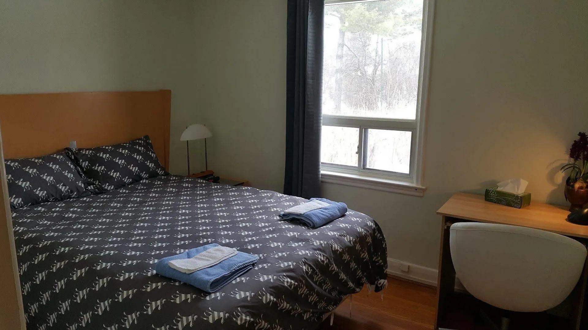 Homestay North York Bb Bed & Breakfast Toronto